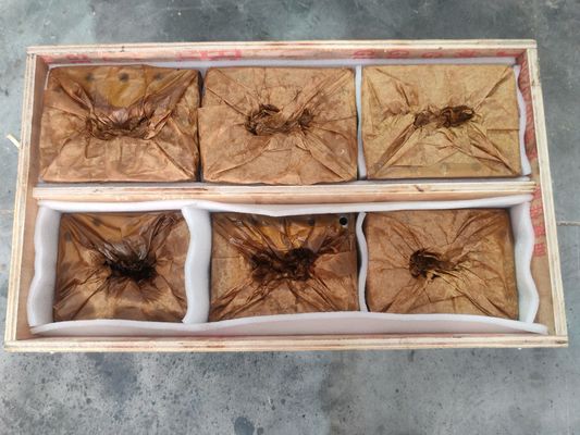 प्लास्टिक रीसाइक्लिंग मशीन के लिए एक्सट्रूडर स्क्रू बैरल