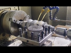 Berstoff ट्विन स्क्रू एक्सट्रूडर स्क्रू सेगमेंट और बैरल